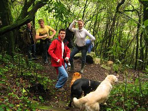 Hike