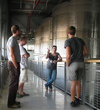Winery Tour
