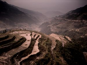 More rice terraces