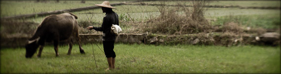 Rural China