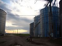Grain Towers
