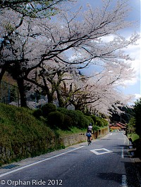 Iwami Ginsen