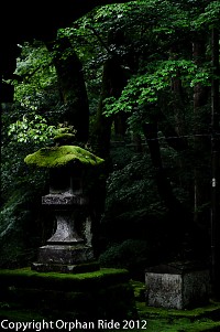 Nikko