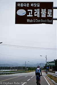 Clean Beach Road